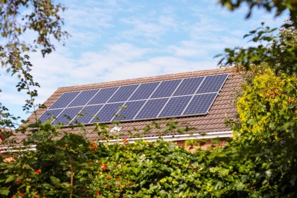 Encore Energy - Specialists in Solar Panels, Battery Storage, EV Chargers, Solar Bird Protection and Solar PV System Maintenance